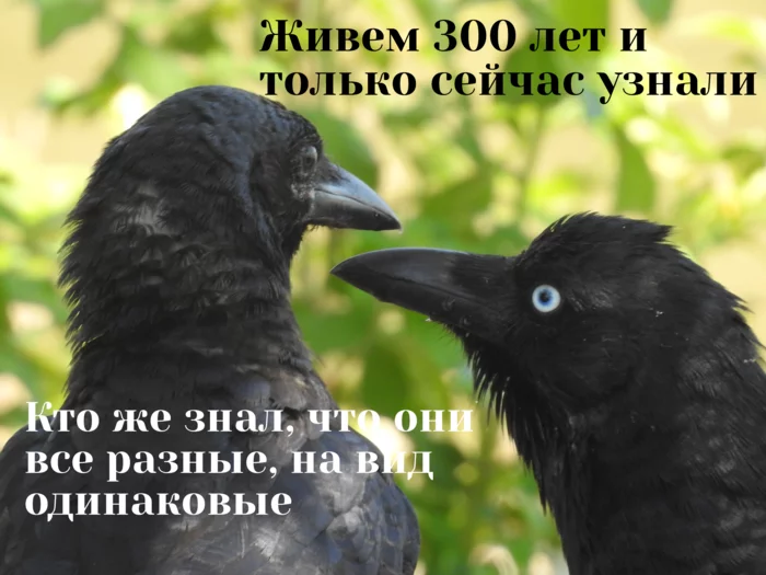 Листы нержавейки что и как купить?